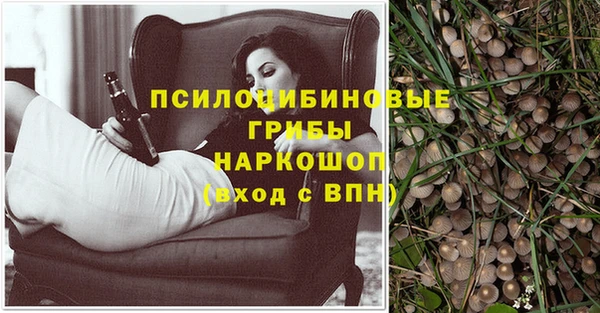 метадон Абаза