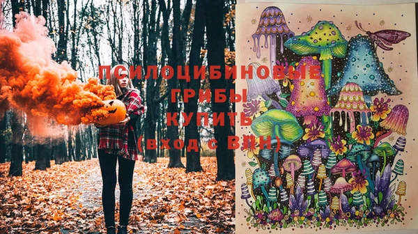 прущая мука Алзамай