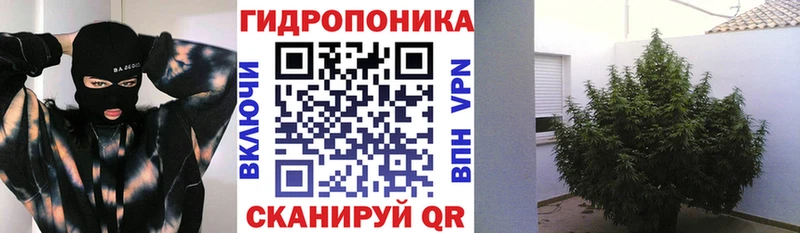Бошки марихуана AK-47 Алдан